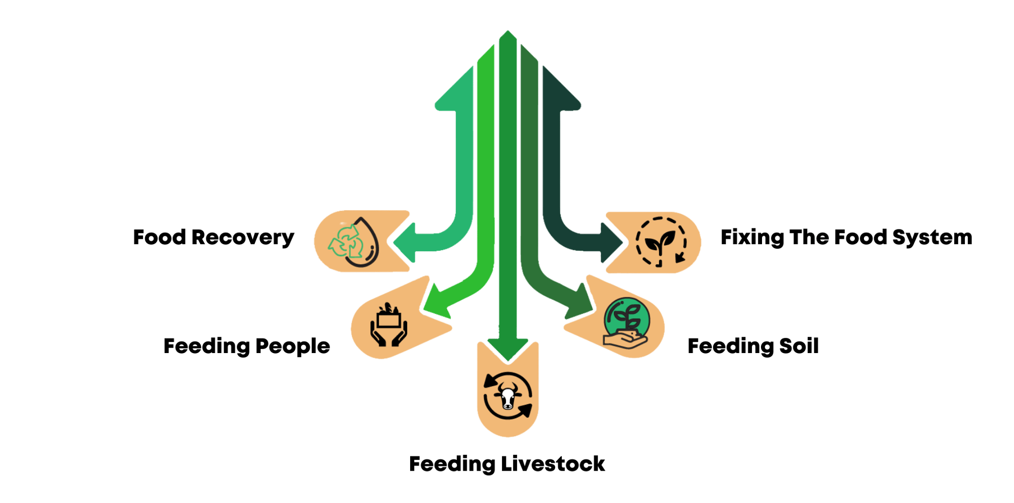 Feeding Livestock-png