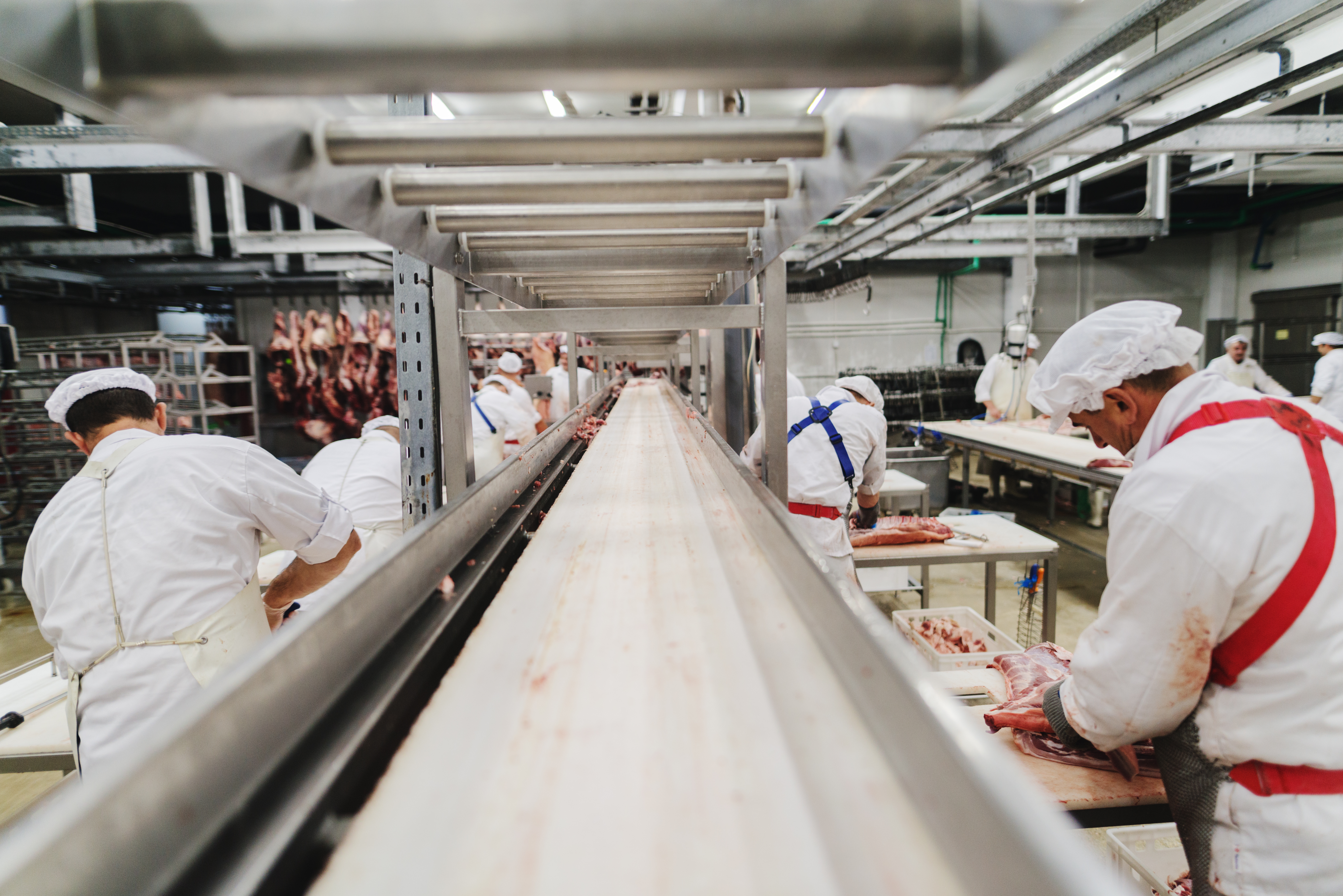 Meat and Poultry processing 