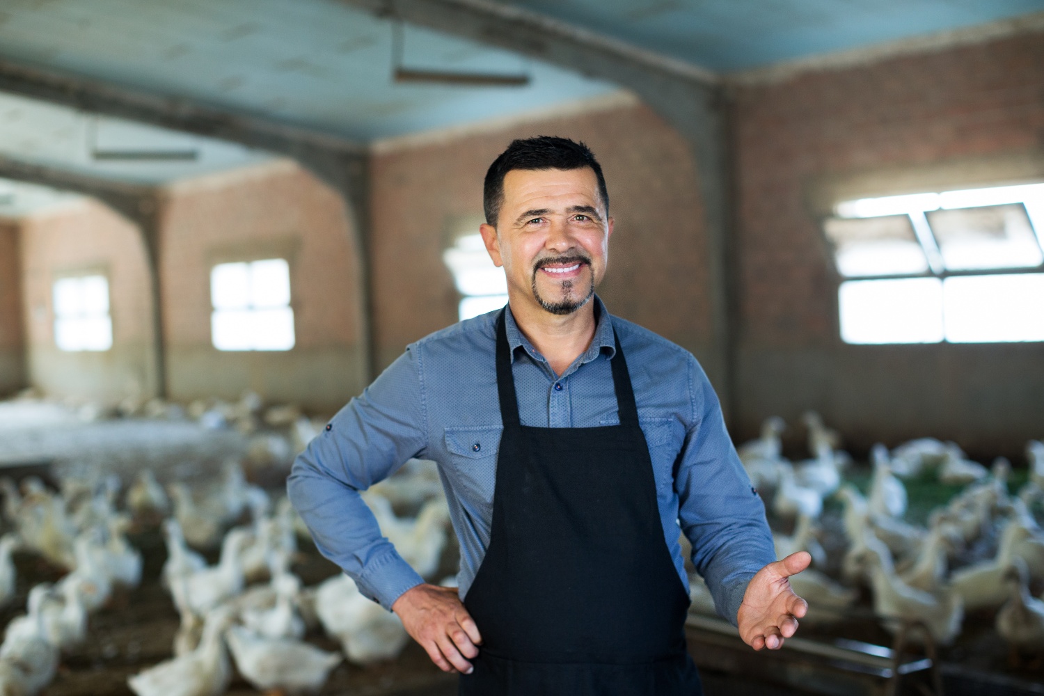 Poultry & Egg On-Farm Investment Program